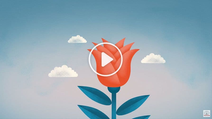 video-cover-8